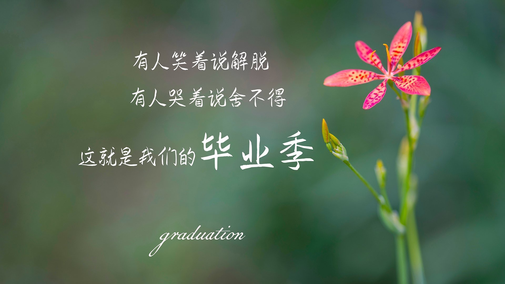 _球场奇迹:逆转之战令人难忘_,足球 奇迹反转