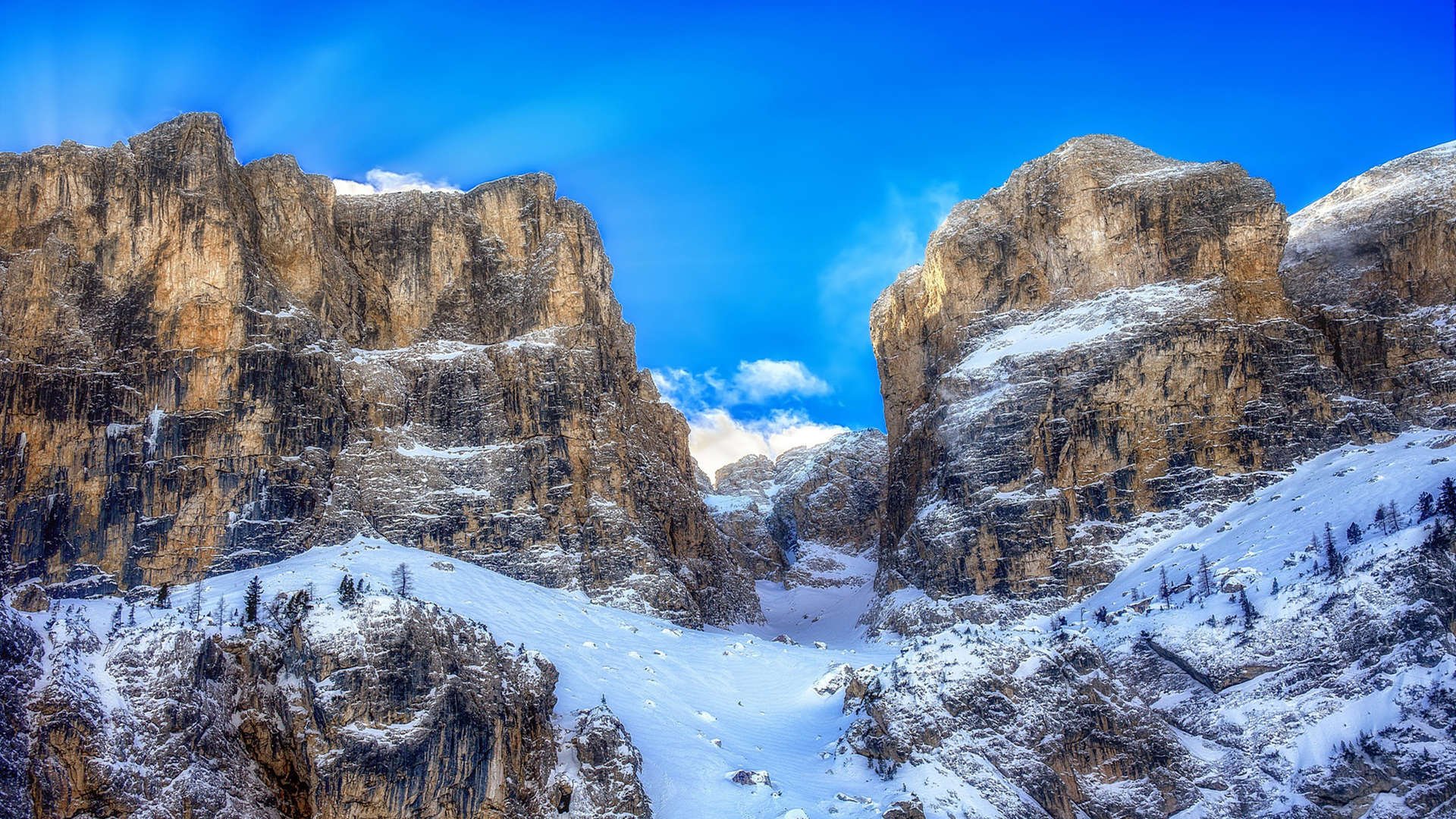 _职业女单排名赛:争夺最后的晋级名额_,2020女单选手