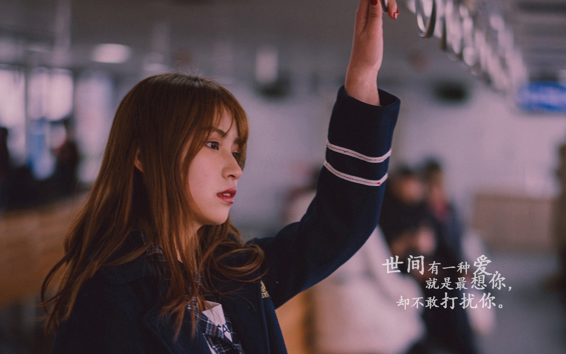 “荣耀瞬间：冠军车手的传奇收藏”，荣耀冠军3dm