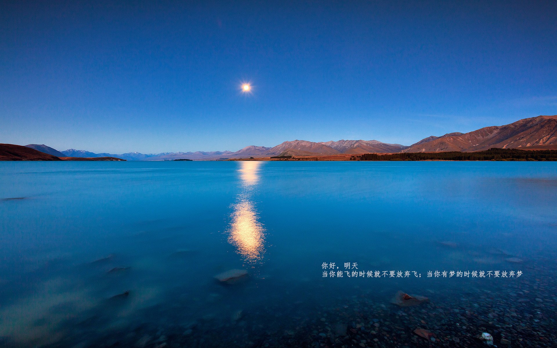 国际连环自行车赛，速度、耐力与技巧的巅峰对决，自行车环球比赛