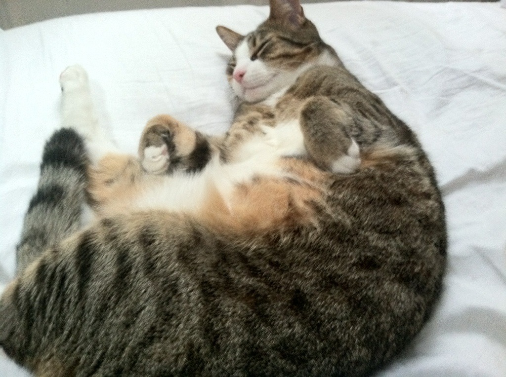 九游-_现场直击：激烈对决中瞬间点燃全场气氛_，激烈的对弈