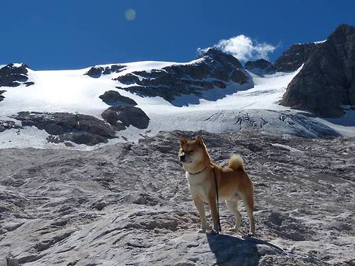 九游登录入口-_篮网队多点开花，防守反击表现出色_，篮网防守太差了