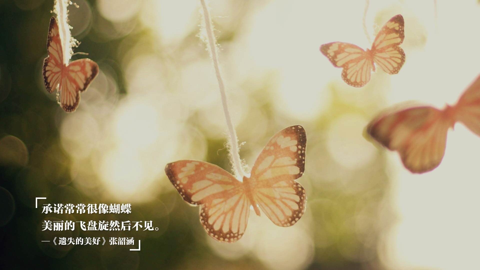 交易市场焦点：哪些球员最有可能转会？，球员转会谁说了算